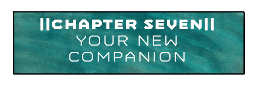 Chapter 7 - Your New Companion.I’m moving to fortnightly updates for a bit since I’ve go