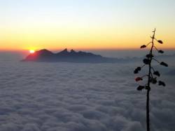 karenmarsherondale:  “Cerro de la Silla” - Monterrey, Nuevo León, México.