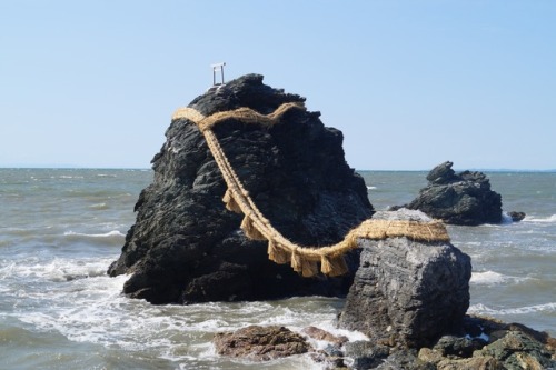 Birds do it, bees do it&hellip;even rocks off the coast of Japan do it