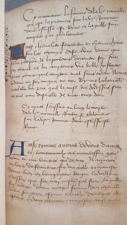 Ms. Codex 910 - DecameronThis manuscript is a French translation, by the humanist Laurent de Premier