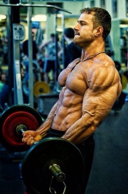 hard bodies, huge muscles