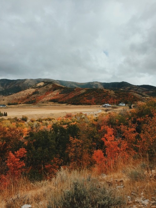juliamstarr:10.2.17 Autumn colors Instagram