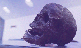becauseyoulovemebb:Bones (13th September 2005)