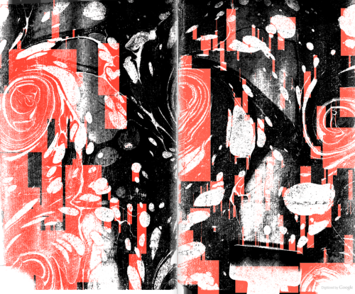 Marbled endpapers, with black-and-red optimization glitch.From the back matter of A Select Collectio