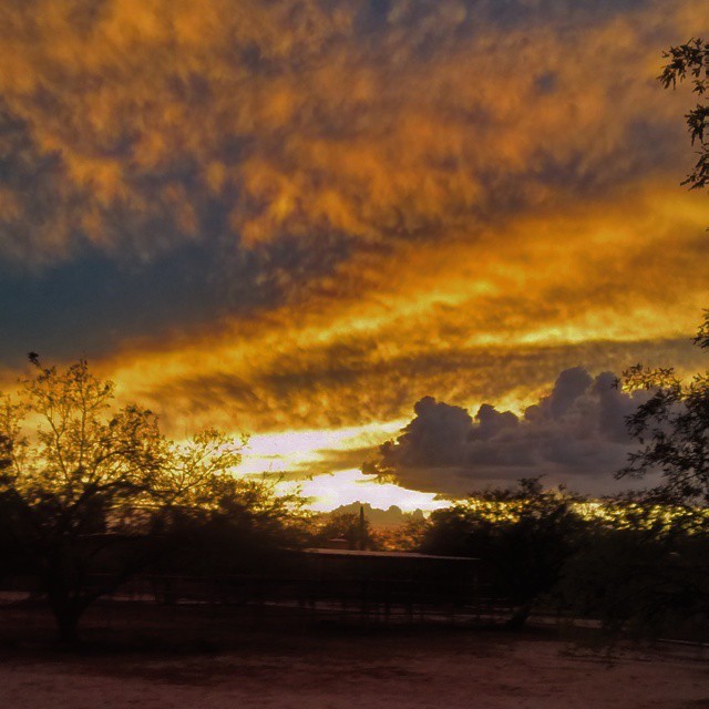 #sunset at the homestead #tucson #arizona