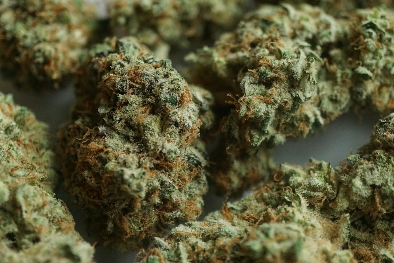 mice-teeth: I could eat these buds, they look like candy 😋😇 Two ounces of super
