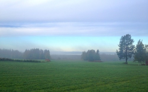 precious-moments-of-peace:The view from my bus shelter