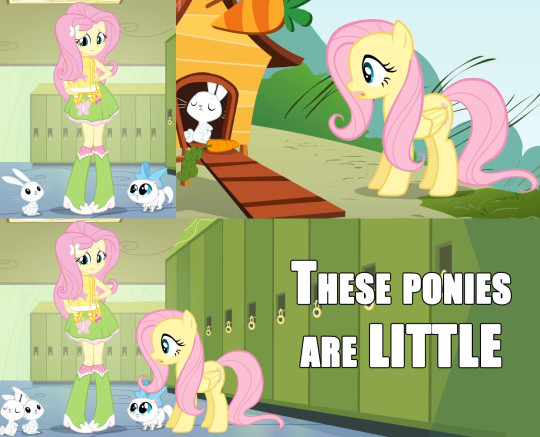 tymorrowland:  kkneesockks:silver-tongues-blog:vexhoor:changeling-collective: iguanamouth:  jedilunawinchester:  iguanamouth:  thekimbroughthe:  fatass-mcnotits:  iguanamouth:  darkforestwarrior:  iguanamouth:  are the mlp horses the same size as actual