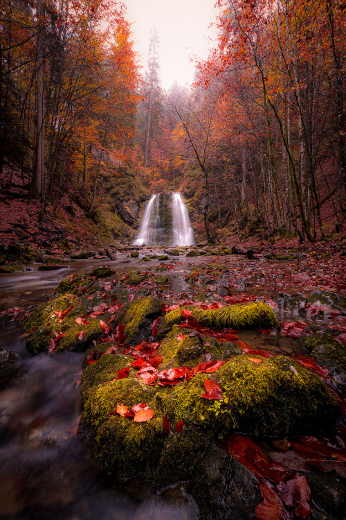 Beautifall by Nils.