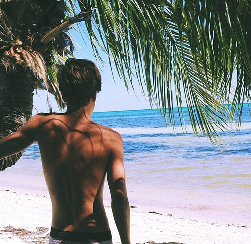 turtle-reef:  surfursparadise:  ☀follow for more summer☀  ☀ come swim with the turtles ☀