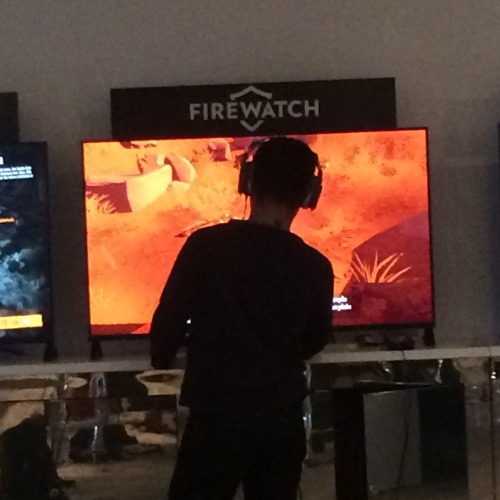 Campo Santo & Firewatch at the Playstation Experience 2015!We spent an incredible weekend with t