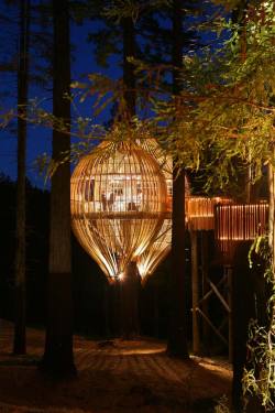 tree house restaurant in New Zealand