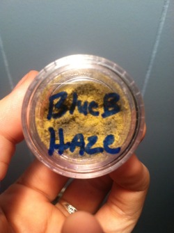 cannabannoyed:  blueberry haze kief 