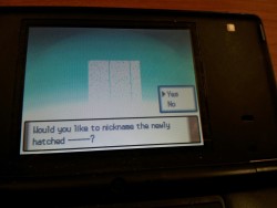 graceusjason:  sandorclegane:  lutecian:  what iS THIS  its a glitch type pokemon  pokemon 2013 the return of missingno 