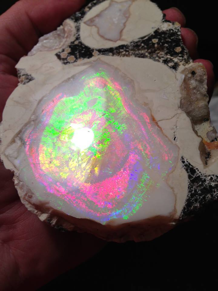 for you crazy opal Lovers :)this specimen is a Geyser Opal from Spencer Idaho, USA.