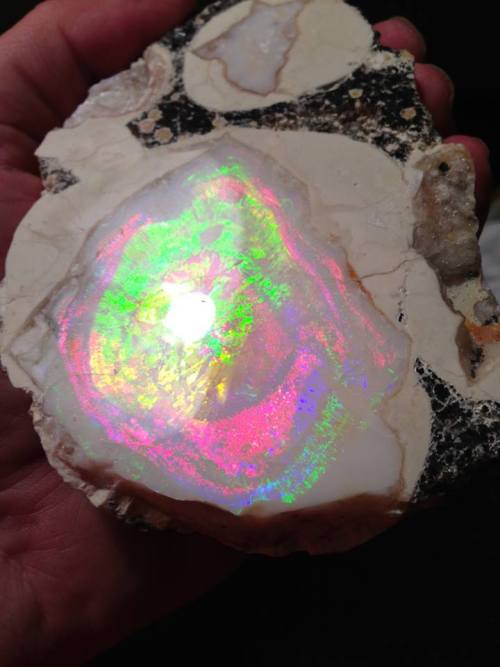 Porn photo third-eyes:  joias6:  Geyser Opal from Spencer