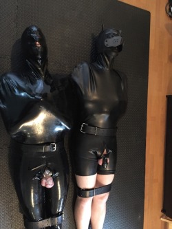 iampupscout:  feelingknottycda:There we go. Now I can identify the puppy from the gimp more readily in my pair of rubbered-up, straight-jacketed, bound, chaste toys. aww &lt;3
