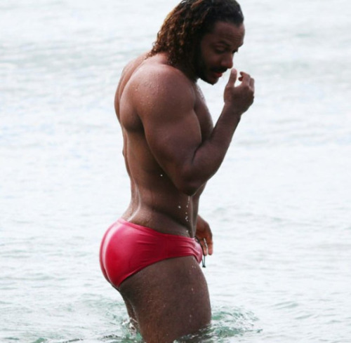 Allmuscls Spot