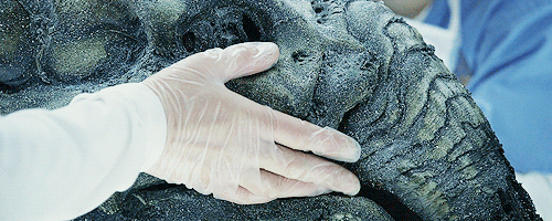 a-ripley:  Prometheus (2012) dir. Ridley Scott  