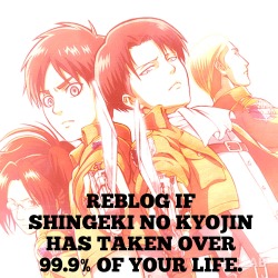 heichou-bitches:  heichou-heichou-love:  How many reblogs can Snk get?  You mean 100%. 