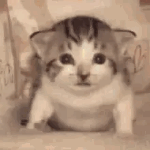 Finding Something Cool And Thematically Rich And Wanting To See What Other People Think Abt It And All
