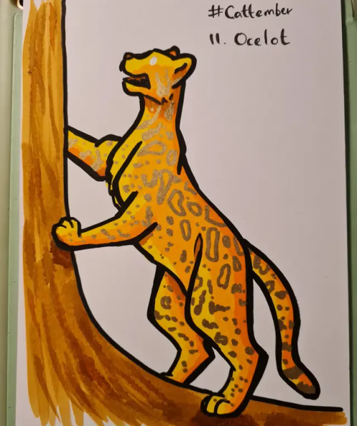 #cattember Day 11 - Ocelot! I Definitely Didn't Almost Forget About Cattember Today
