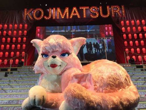 #こじまつり #kojimatsuri