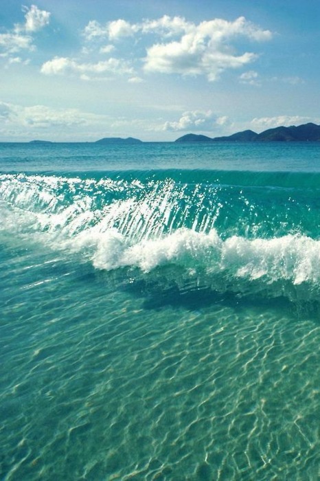 always-believe-in-dreams:  *Sofia 
