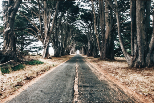 nevver:You have come to the end of the world, keep walking - Griffin Lamb