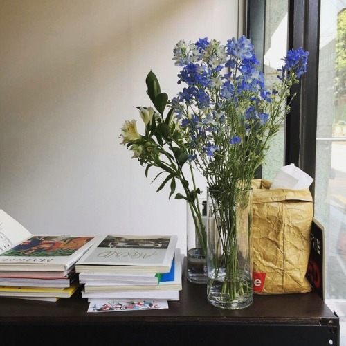 out-andabout:FLOWERS, BOOKS | OUT-ANDABOUT porn pictures