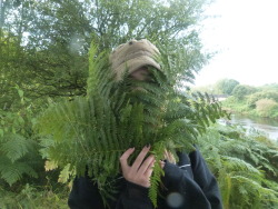 leafurl:  erin and her ferns, bless 
