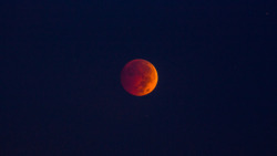 spaceexp:  Blood Moon Total Eclipse Source: joseph.gruber