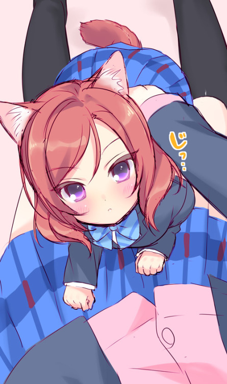 ✧･ﾟ: *✧ Nico’s New Pet Cat ✧ *:･ﾟ✧♡ Characters ♡ : Maki Nishikino ♥ Nico Yazawa ♢ Anime