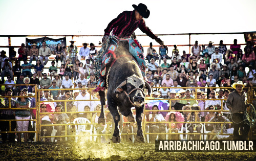 arribachicago:  Amantes de los Jaripeos , es Cultura 