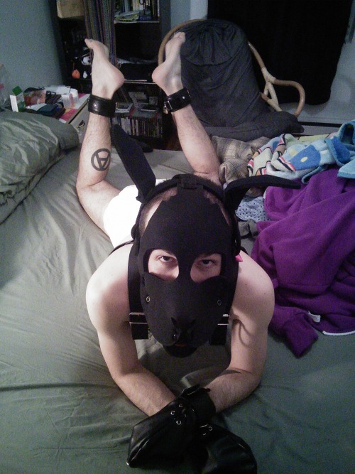 pup-alako:  Playing as a puppy with my boyfriend ^^ 