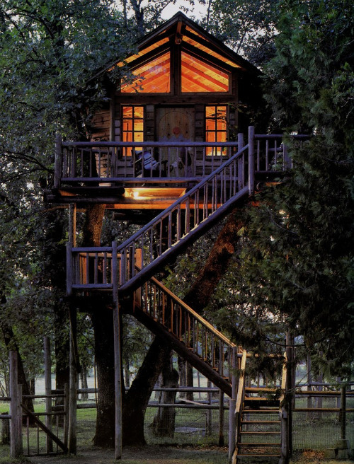 wattthefisk:  Tree houses that put our ordinary homes to shame. A mixture of classic and modern tree houses that make you question where you live. 