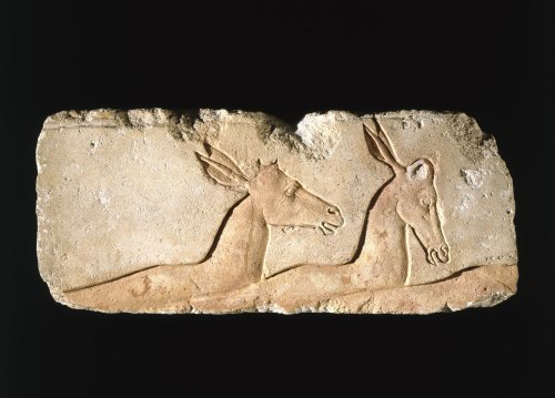 ancientpeoples: Relief of Antelopes Egyptian ca. 1352-1336 B.C.E. The scene to which this block