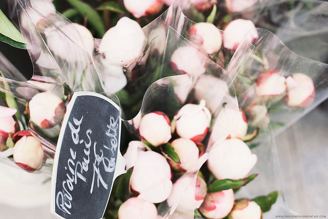 wildstag:  Peonies for sale by Paris in Four Months on Flickr. 