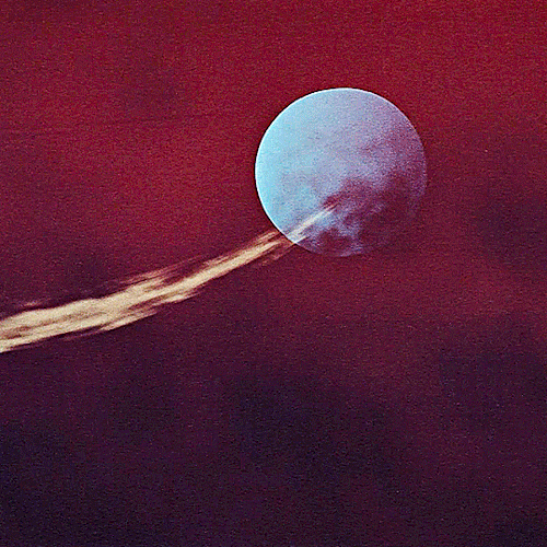 classicfilmcentral:The Mad Fox  ‘恋や恋なすな恋’  (1962) dir. Tomu Uchida
