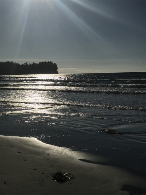 Hung out at the beach a little tonight