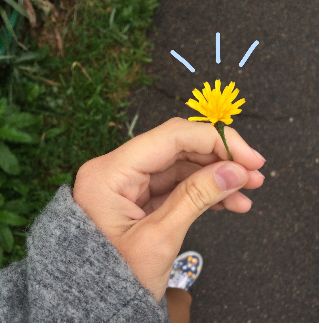 tinyhappykoala:  ☁️ rainy days are my favourite ☔️