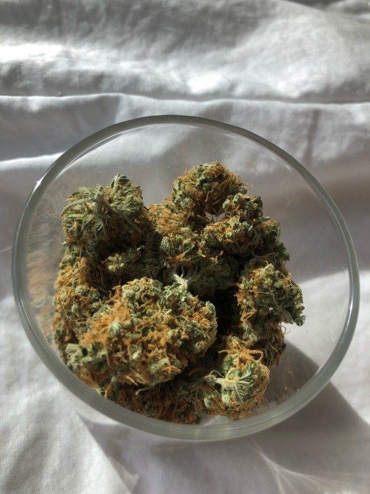 elighmadison:Penny from my friends @ MasterTokes 