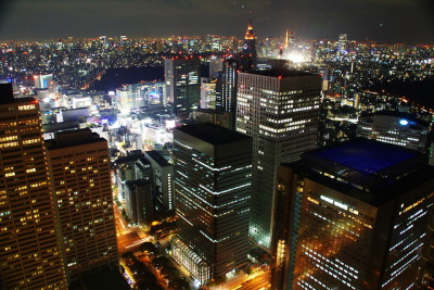 Tokyo, View from Metropolitan Government Building, Japan.