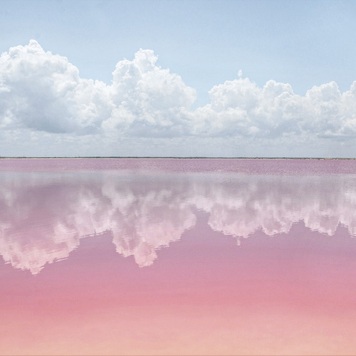 XXX studiovq: Pink lakes filled with salt. The photo
