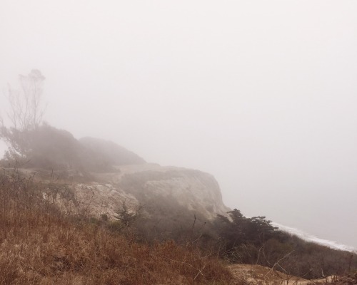 koahlakid: foggy morning in santa barbara