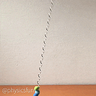 physicsfun on IG