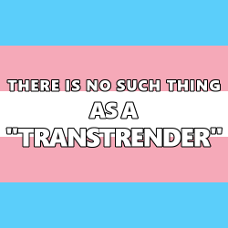 queerlection:  [Image description - Image of the trans pride flag with the text: THERE IS NO SUCH THING AS A “TRANSTRENDER”. End description.]  