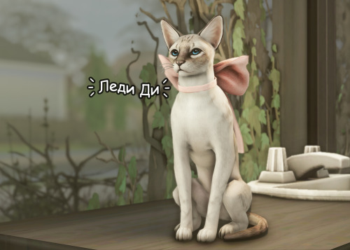 , , ,