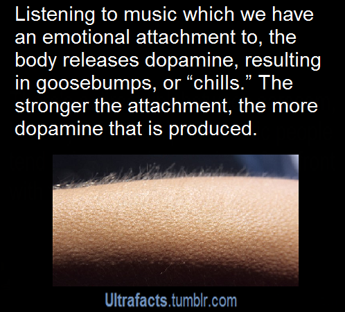 ultrafacts:  For more posts like this, follow Ultrafacts