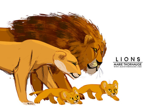 mariethorhauge: Happy lion family ♥